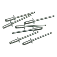 Заклепки 4х19 50шт