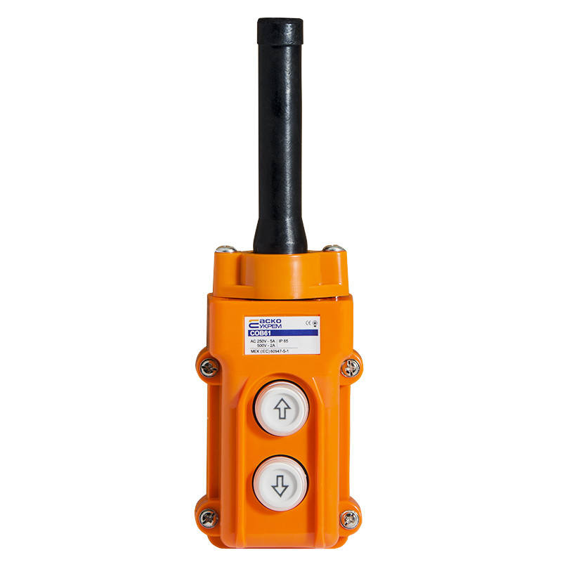 Пост 2* кнопковий COB61 (пульт)