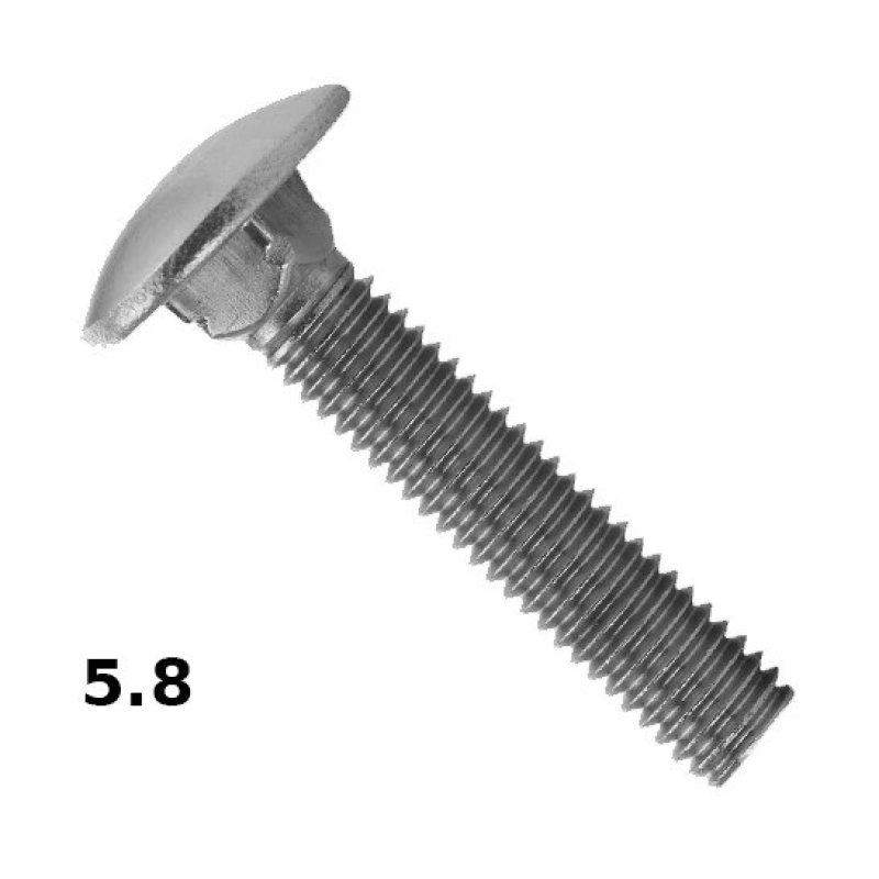 Болт з напівкруглою головкою і квадратним підголовком 6х40