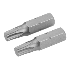 Біта Торкс 25 мм Т25 20224