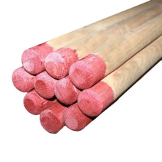 Живець (Черенок) (євро, БУК) 1,1-1,2м